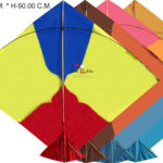 Cheel Kites