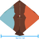 Cheel Kites