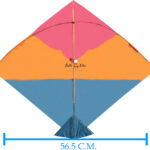 Cheel Kites