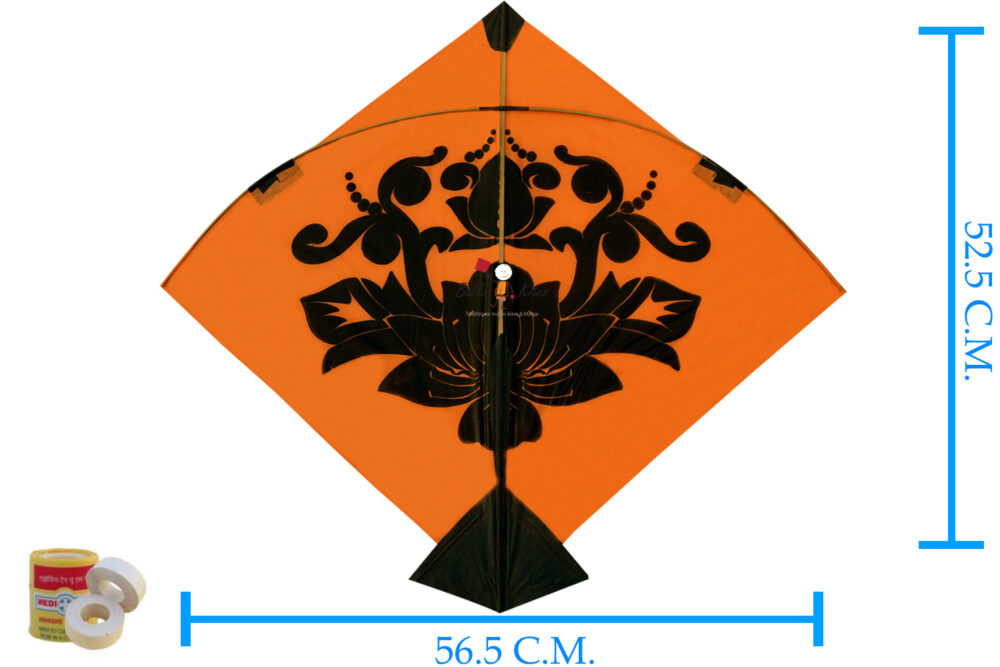 Colour Bareli kites