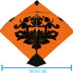 Colour Bareli kites