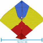 Colour Bareli kites