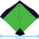 Colour Bareli kites
