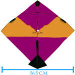 Colour Bareli kites