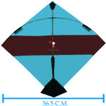 Colour Bareli kites