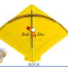 40 Colour Indian Fighter Cheel Kites (Size 58.5*45.5 Centimeters) + Free Shipping 5