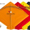40 Colour Indian Fighter Cheel Kites (Size 58.5*45.5 Centimeters) + Free Shipping 4