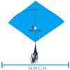Babla 40 Cheel Ghesia Kites (Size 56*58 Centimeter) + Free Shipping 6