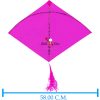 Babla 40 Cheel Ghesia Kites (Size 56*58 Centimeter) + Free Shipping 7