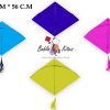 Babla 40 Cheel Ghesia Kites (Size 56*58 Centimeter) + Free Shipping 8