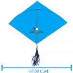 Babla 40 Cheel Gesiya Ponia Kites (Size 70*67 Centimeter) + Free Shipping 5