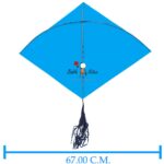 Babla 40 Cheel Gesiya Ponia Kites (Size 70*67 Centimeter) + Free Shipping
