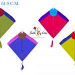 Babla 40 Colour Indian Big Rocket Kites (Size 78 * 61.5 Centimeter) + Free Shipping 6