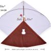 Rajwadi Cheel Kites - Fancy Kites