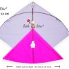 Rajwadi Cheel Kites - Fancy Kites