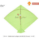 Addhiya Gol Patang Kites