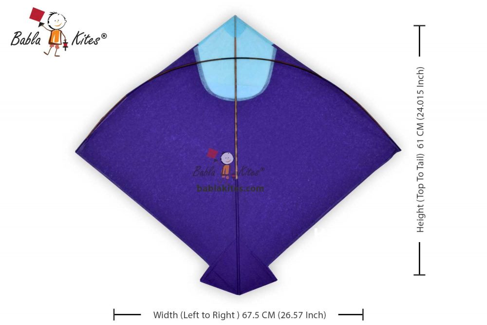 Babla 40 Designer Pauni Rampuri Kites (Size 61*67.5 Centimetres), 0.75 Tawa + Free Shipping 3